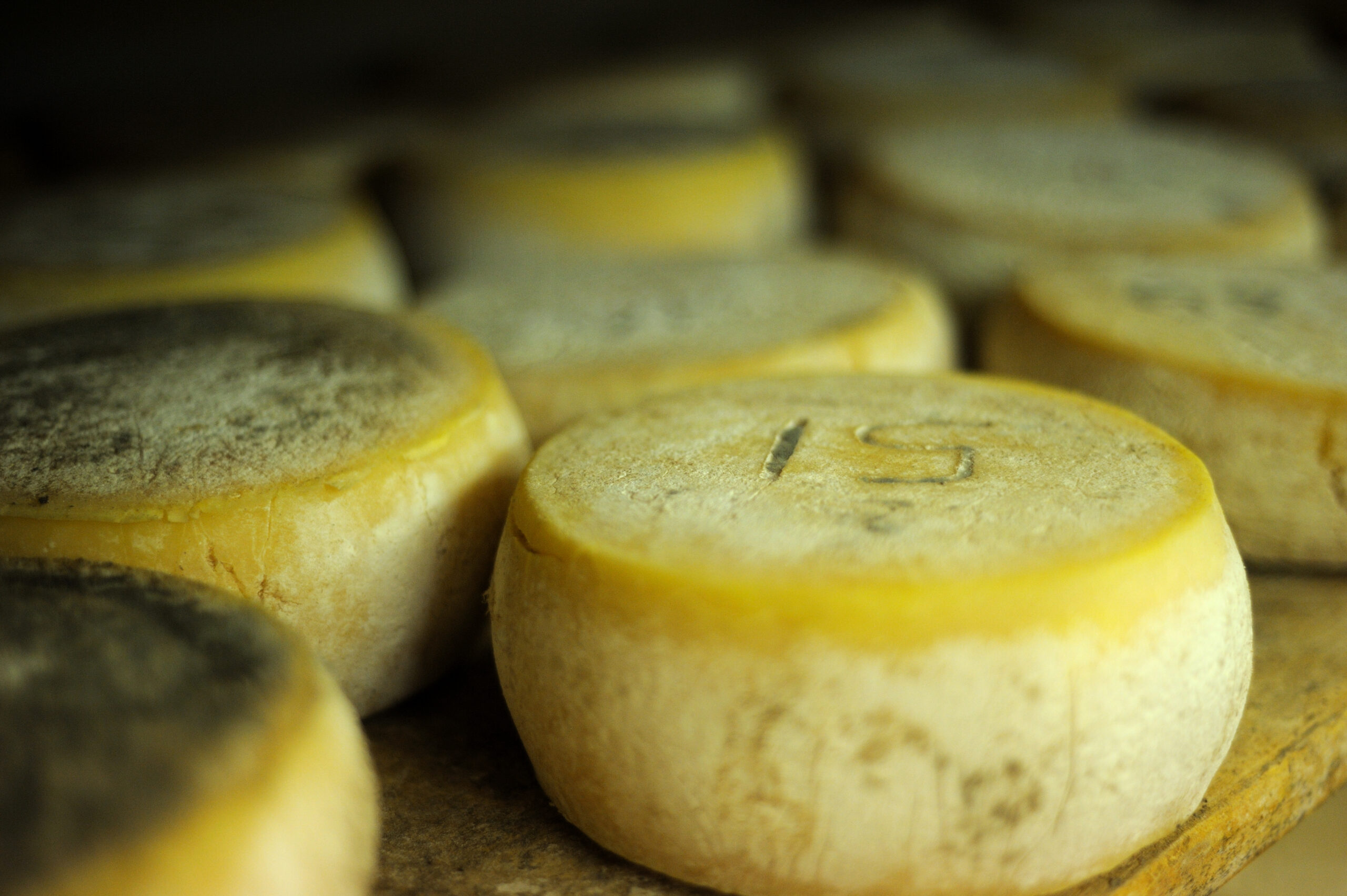 Sport et Fromages