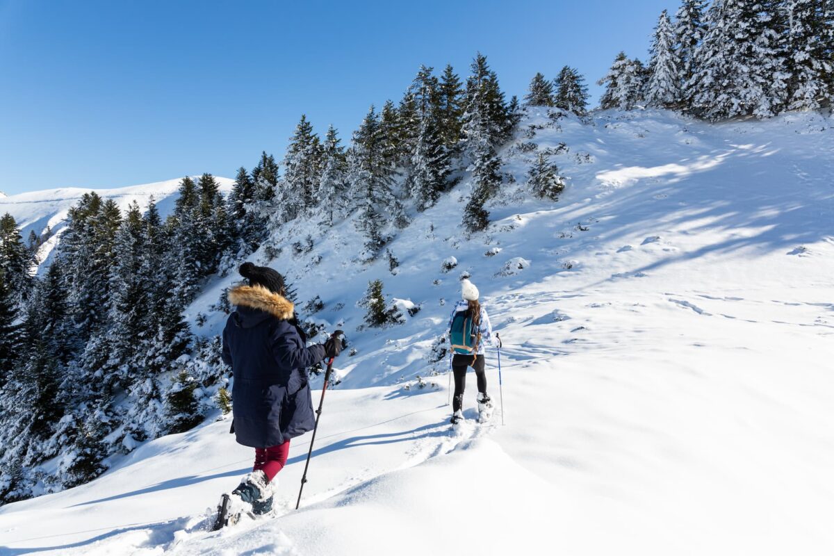 Ouverture de la station