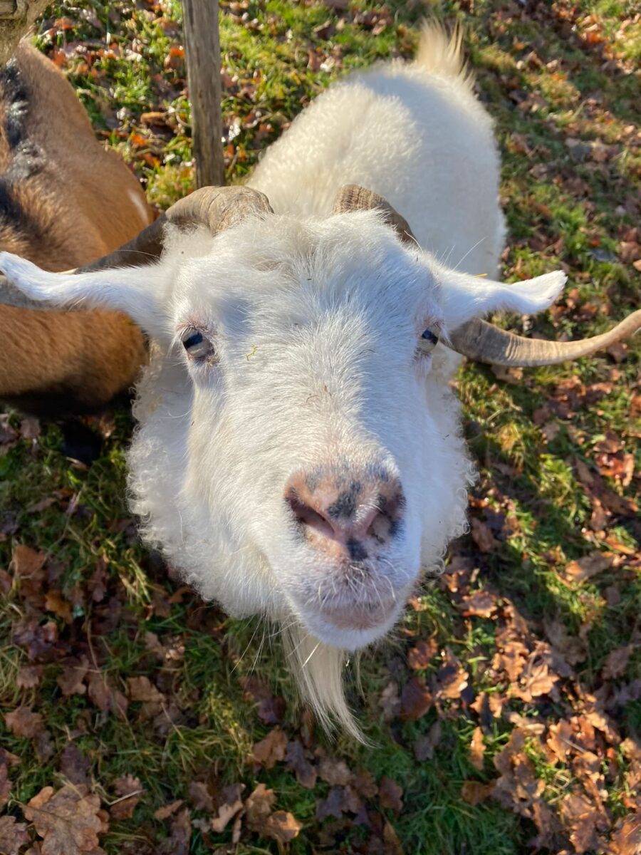Les activités sans neige à faire en Neste Barousse