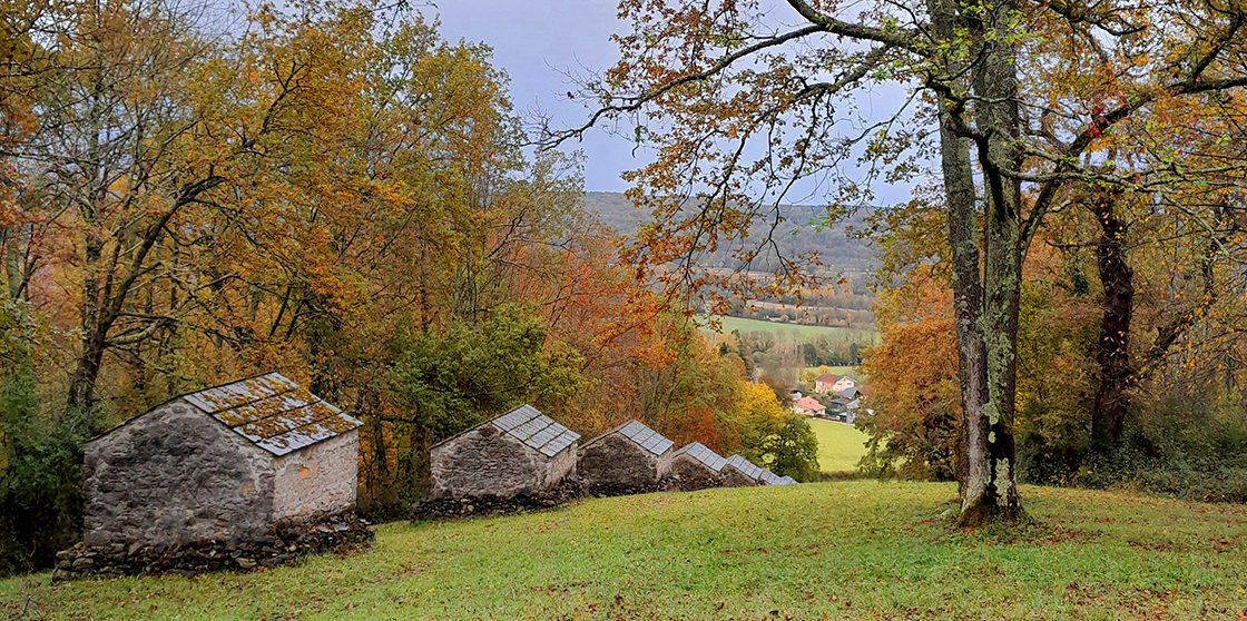 Profitez de l’automne avec les enfants