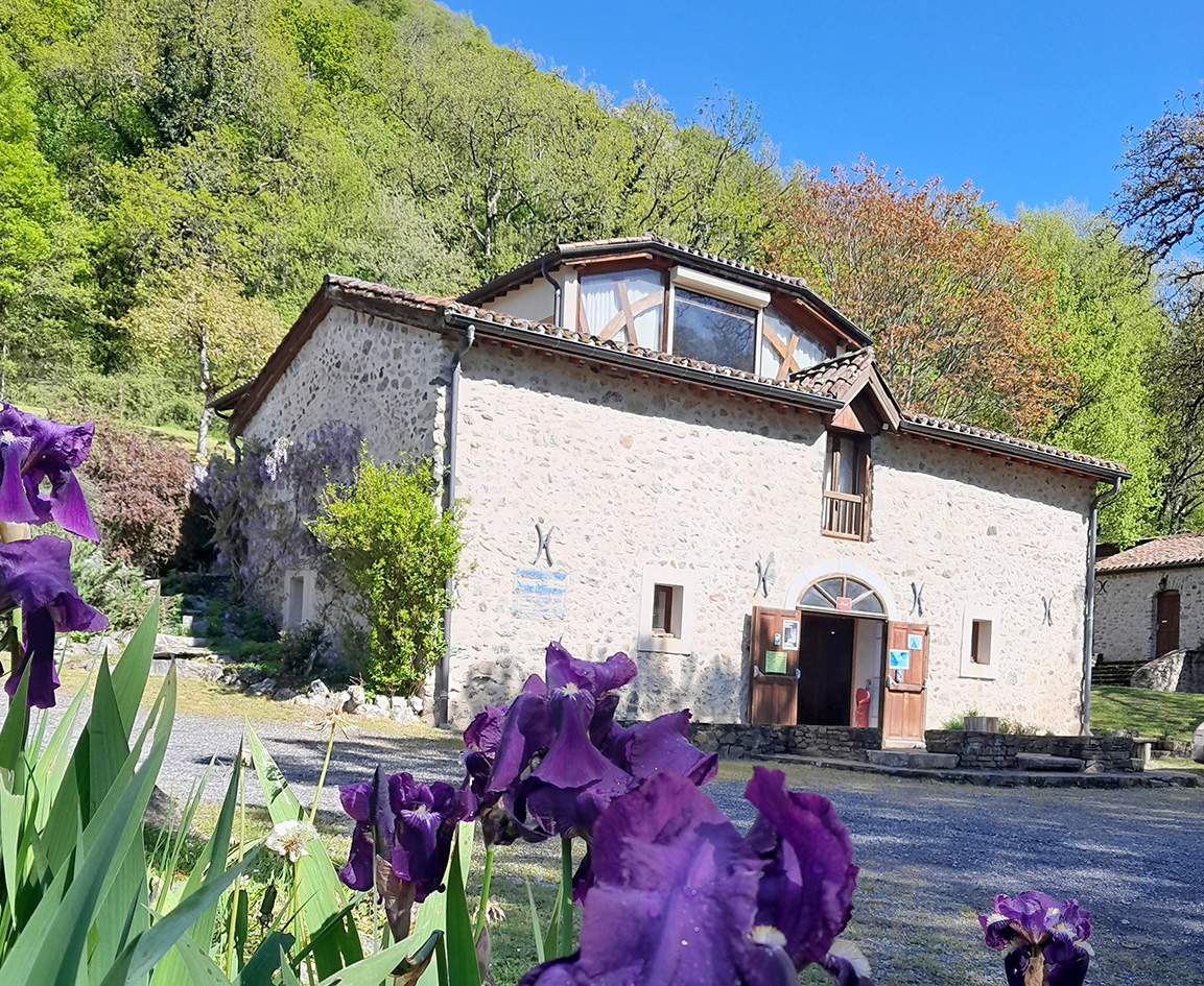 Découvrir la nature